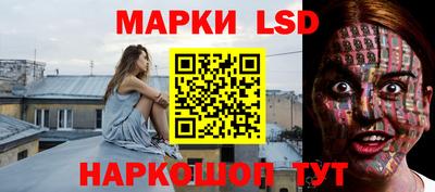 МДПВ Можга