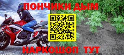 МДПВ Можга