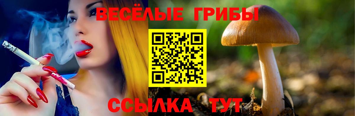 Галлюциногенные грибы Magic Shrooms  Вход с VPN  Алексин  Псилоцибиновые грибы Psilocybine cubensis 